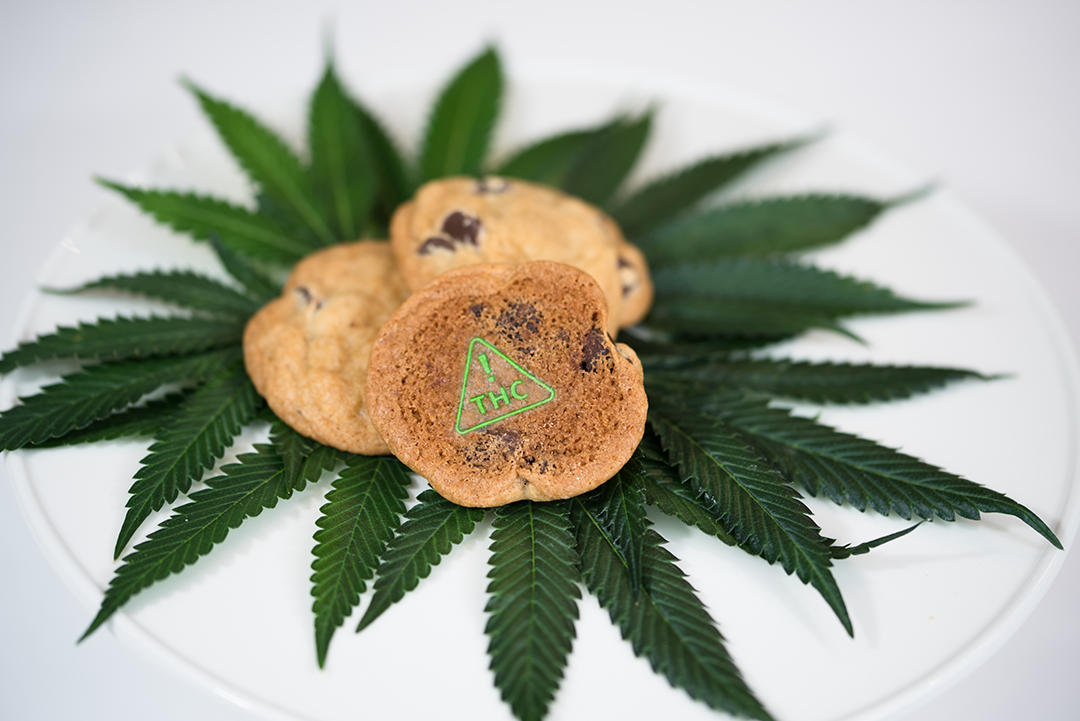 green thc ! diamond symbol on cookies laying on a plate with cannabis leaves under them